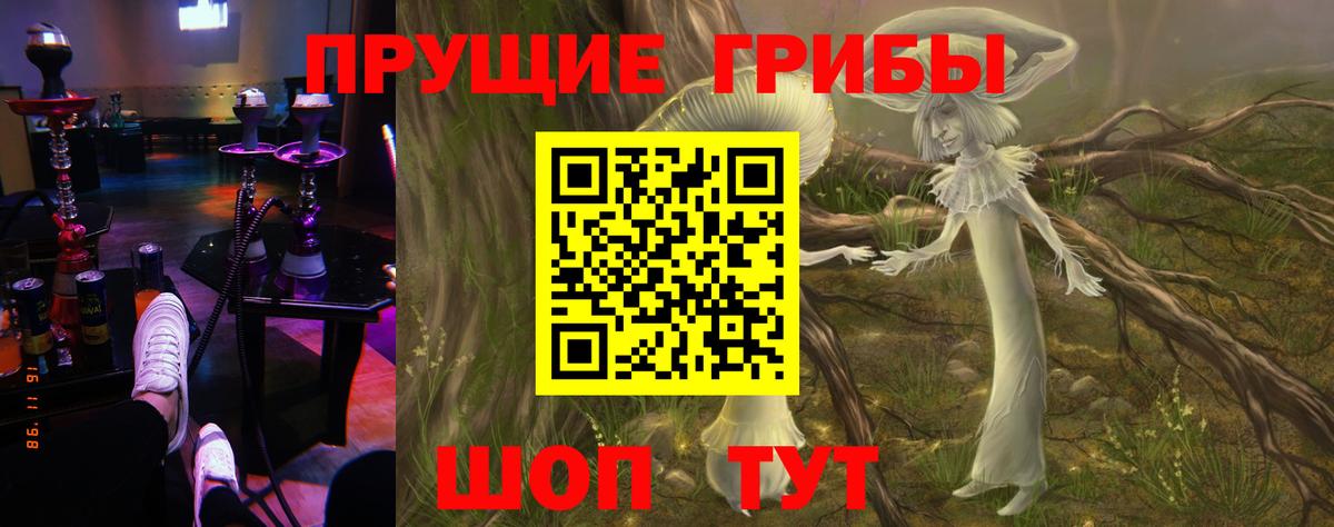 Бийск  Псилоцибиновые грибы ЛСД  Псилоцибиновые грибы GOLDEN TEACHER  Вход с VPN 